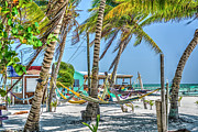 Caye Caulker Work Day Photograph by David Zanzinger Caye Caulker Work Day Photograph by David Zanzinger