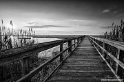 Cedar Beach Sunset Black and White Photograph by Alissa Beth Photography