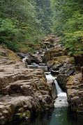 Cedar Creek #2 Photograph by Ben Upham III