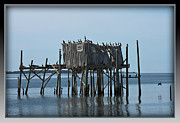 Cedar Key Honeymoon Shack II Photograph by Farol Tomson