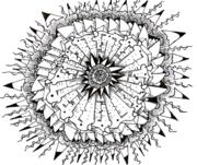 Cell Drawing by Daniel Rustad