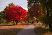 Centennial Park Brooklyn Park MN Photograph by Arnold Hence