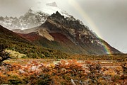 Solo Spectrum Photograph by Ryan Weddle