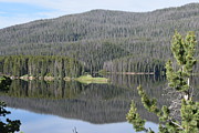 Chambers Lake Hwy 14 CO #2 Photograph by Margarethe Binkley