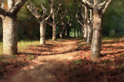 Changing of Seasons Digital Art by Dwayne Glapion