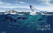 Channel Islands Whales Photograph by Jim Dowdalls