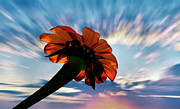 Chasing last light Photograph by Bill Posner