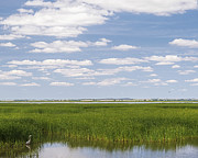 Cheyenne Bottoms Photograph by Rob Graham