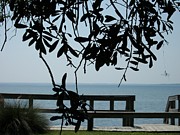 Choctaw Beach Photograph by Tammie J Jordan