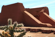 Cholla at the Pecos Pueblo Mission Photograph by David Diaz