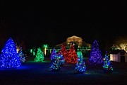 Christmas Garden 7 Photograph by Rodney Lee Williams