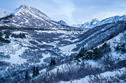 Chugach in Winter Twilight Photograph by Tim Newton
