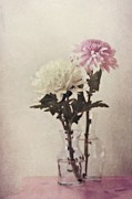 Closely Photograph by Priska Wettstein