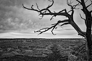 Clouds and the Canyon Photograph by Ana V Ramirez