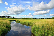 Clouds Reflected in Glacial Park Photograph by Ray Mathis