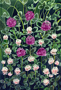 Clover Painting by Katherine Miller
