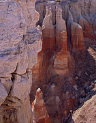 Coal Mine Canyon Depths Photograph by Tom Daniel