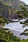 Coastal Bluff Photograph by Kirt Tisdale