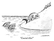Coastal Elite Drawing by Joe Dator