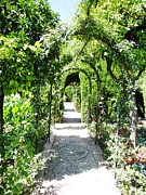 Cobble Stone Garden Walkway in Spain Photograph by John Shiron