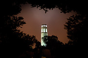 Coit Tower Through the Trees Photograph by Daniel Murphy Coit Tower Through the Trees Photograph by Daniel Murphy