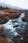 Cold Creek in Autumn Photograph by Tim Newton
