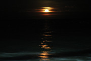 Cold Moon Rising 2017 Photograph by Robert Banach