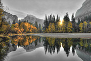 Cold Yosemite Reflections Photograph by Mark Whitt