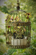 Coleus in Vintage Birdcage Photograph by Allen Nice-Webb Coleus in Vintage Birdcage Photograph by Allen Nice-Webb