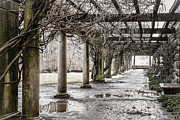 Colonnade Photograph by Todd Blanchard
