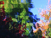 Color In Motion Digital Art by Kathleen Illes