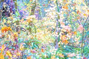 Color me autumn Photograph by Merle Grenz