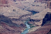 Colorado River Flowing though Grand Canyon - 8 Photograph by Christy Pooschke Colorado River Flowing though Grand Canyon - 8 Photograph by Christy Pooschke