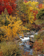 Colorful Canyon Photograph by Leland D Howard