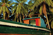 Colorful fishing boat surrounded by palm tress in Maldives Photograph by Sami Sarkis Photography