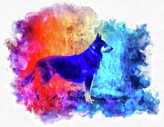 Colorful German Shepherd Dog watercolor Photograph by Matthias Hauser
