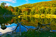Colorful Reflections Photograph by Amanda Jones