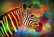 Colorful Zebra Painting by Lilia S