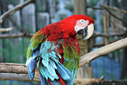 Colors Photograph by Jackson Pearson Colors Photograph by Jackson Pearson