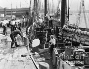 Commercial Fishing Boat, C.1920-30s Photograph by H. Armstrong Roberts/ClassicStock