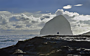 Contemplation Photograph by John Christopher Contemplation Photograph by John Christopher
