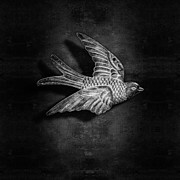 Copper Bird BW Photograph by YoPedro