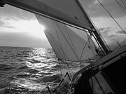 Coquette Sailing Photograph by Dustin K Ryan