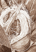 Corn Silk - Neutral Digital Art by Lori Taylor