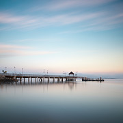 Coronado Ferry Landing Photograph by William Dunigan