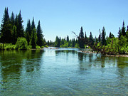 Cottonwood Creek Photograph by K Bradley Washburn