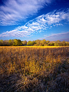 Country Fresh Photograph by Phil Koch