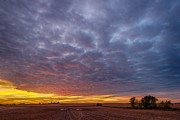 Country Living Photograph by Sebastian Musial Country Living Photograph by Sebastian Musial