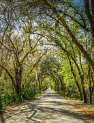 Country Road Photograph by David Hart Country Road Photograph by David Hart
