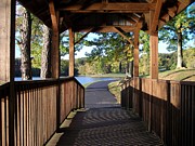 Covered Path Photograph by Tammie J Jordan Covered Path Photograph by Tammie J Jordan